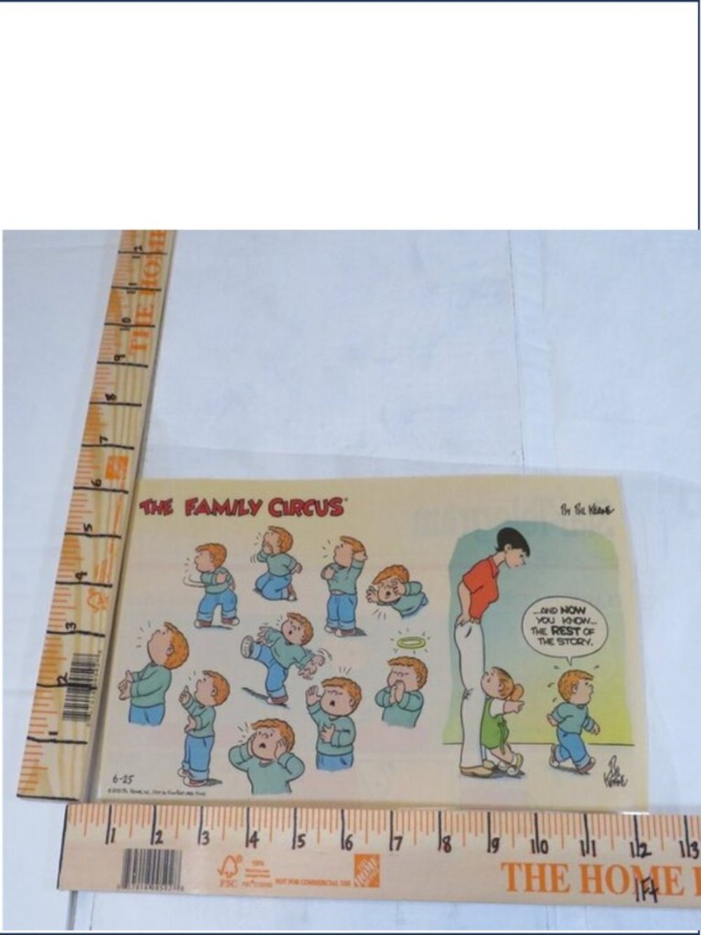 Family Circus LAMINATED June 25th, 2000  “AND NOW YOU KNOW…THE REST OF THE STORY